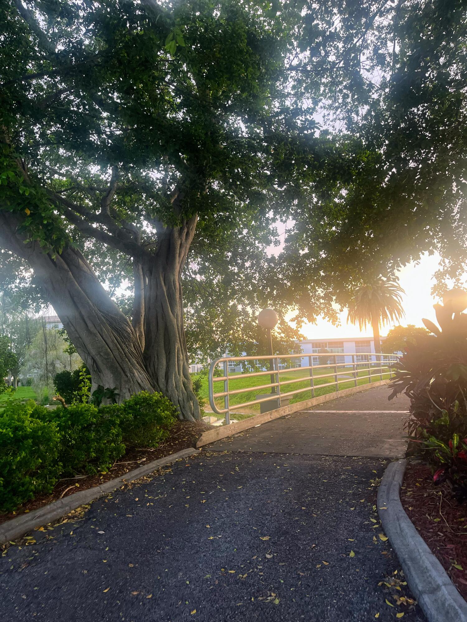 ARUBA VILLAGE Wynmoor - Residential Lease