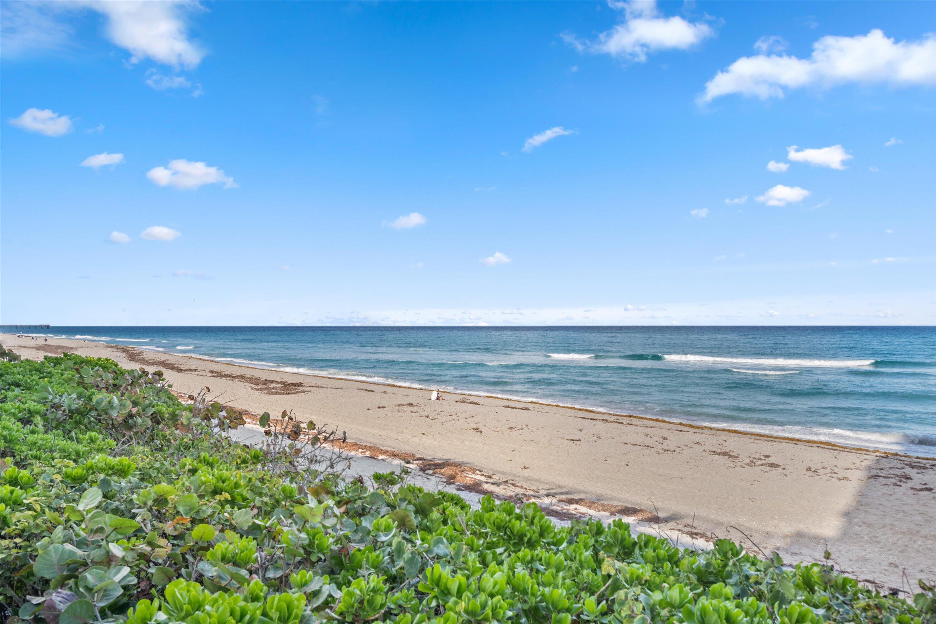 JUNO BY THE SEA NORTH THE SURF CONDO - Residential