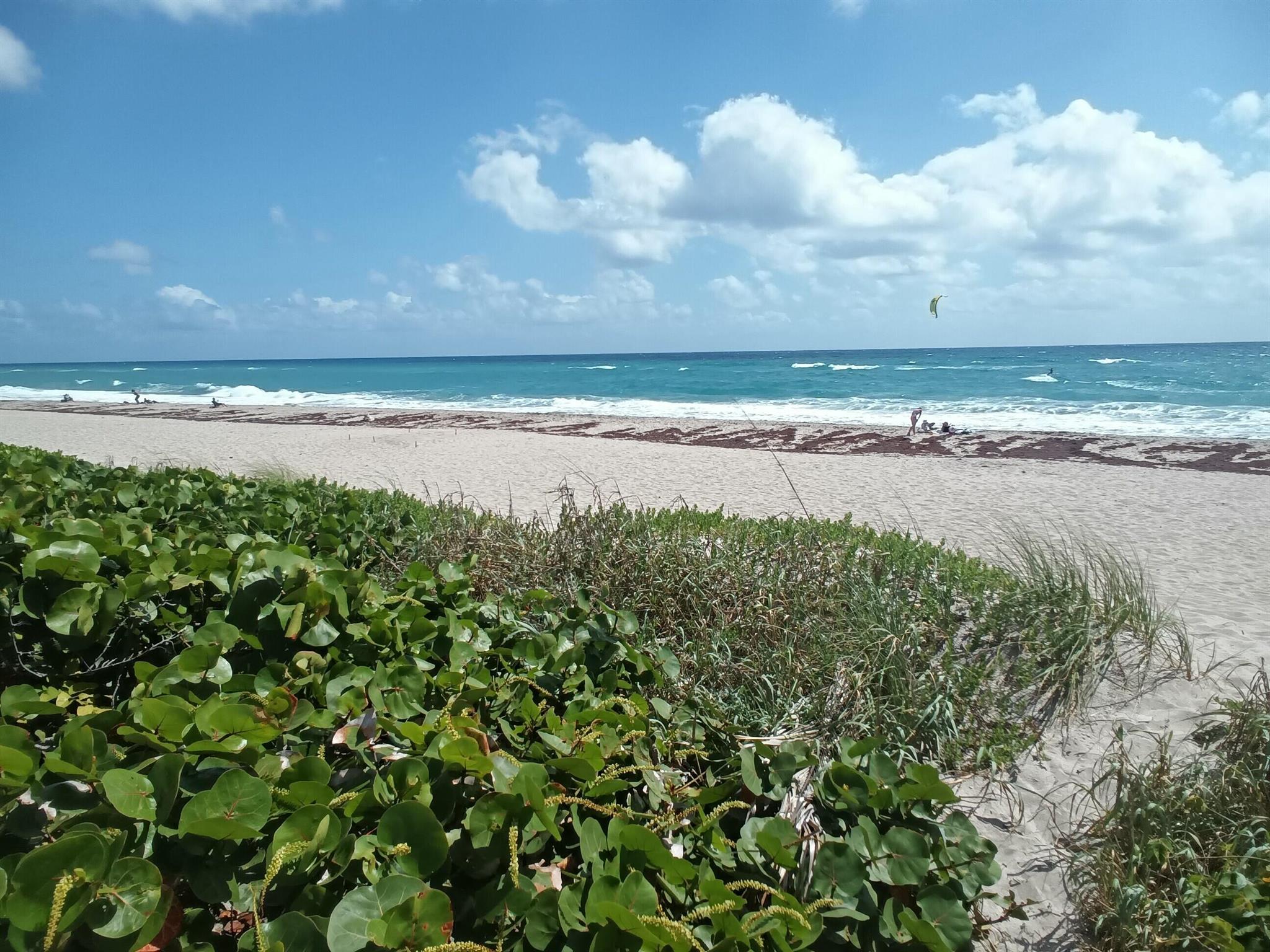 PLACIDO MAR CONDO - Residential