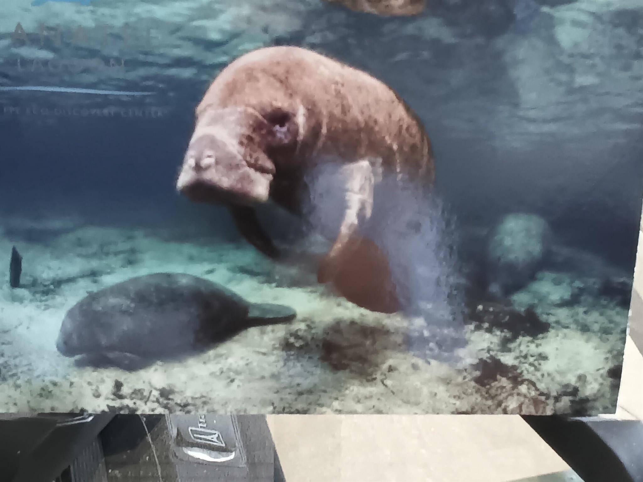 PLACIDO MAR CONDO - Residential