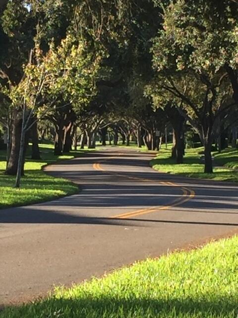 1636 Wood Fern Drive