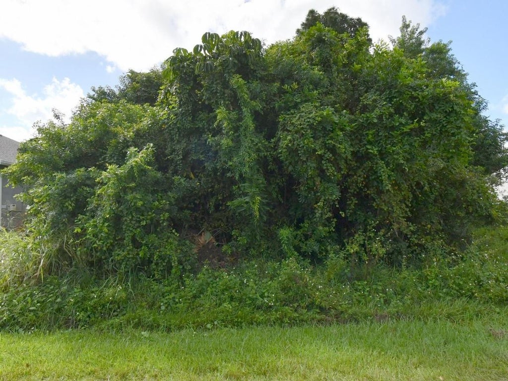 Photo of 432 SE Starflower Avenue, Port Saint Lucie, FL 34983 (MLS # F10502794)