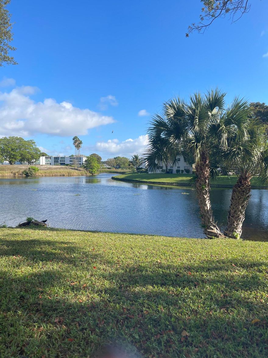 This condo won't last. Beautifully maintained and upgraded, this fully furnished, turn-key condo is ready for you to move right in. This spacious 1-bedroom, 2 full-bath unit features a stunning WATER view and a bright, comfortable layout. Enjoy tile and laminate flooring throughout, a well-equipped kitchen with NEW appliances and dishwasher, and a large walk-in closet in the primary bedroom. The enclosed Florida room features tiled flooring and a wall-mounted TV, making it the perfect space to relax while enjoying the serene water view. A lot of closet space Located on the 4th floor , this move-in ready condo offers comfort, convenience, and a fantastic lifestyle. Don't miss this opportunity—schedule your showing today!