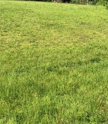 PORT ST LUCIE SECTION 15 - Land