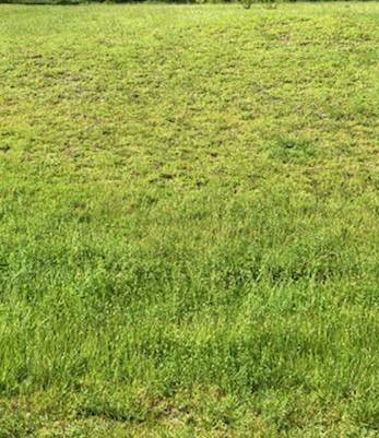 PORT ST LUCIE SECTION 15 - Land