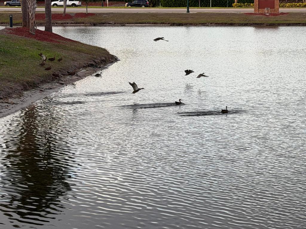 PORT ST LUCIE SECTION 3 - Residential