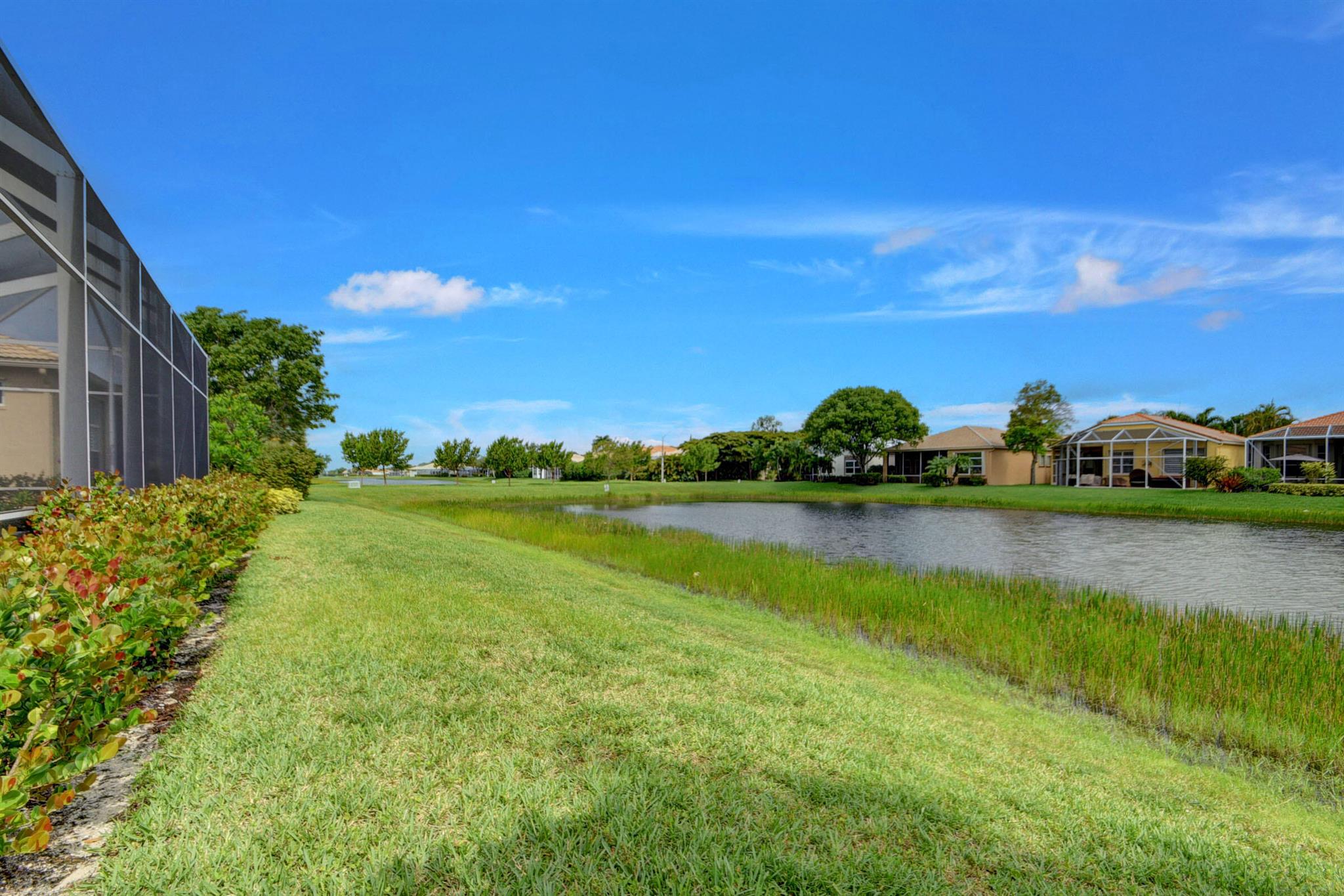 BUENA VIDA - Residential