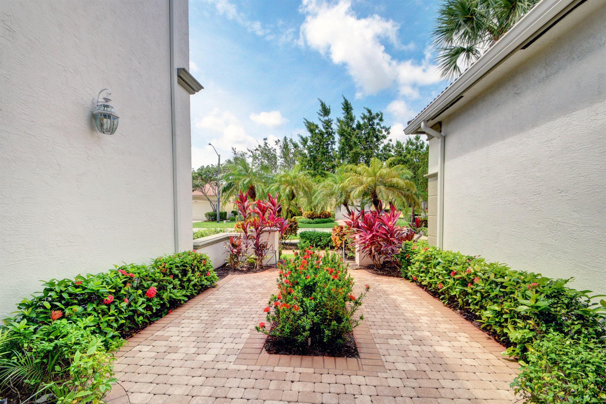 BUENA VIDA - Residential