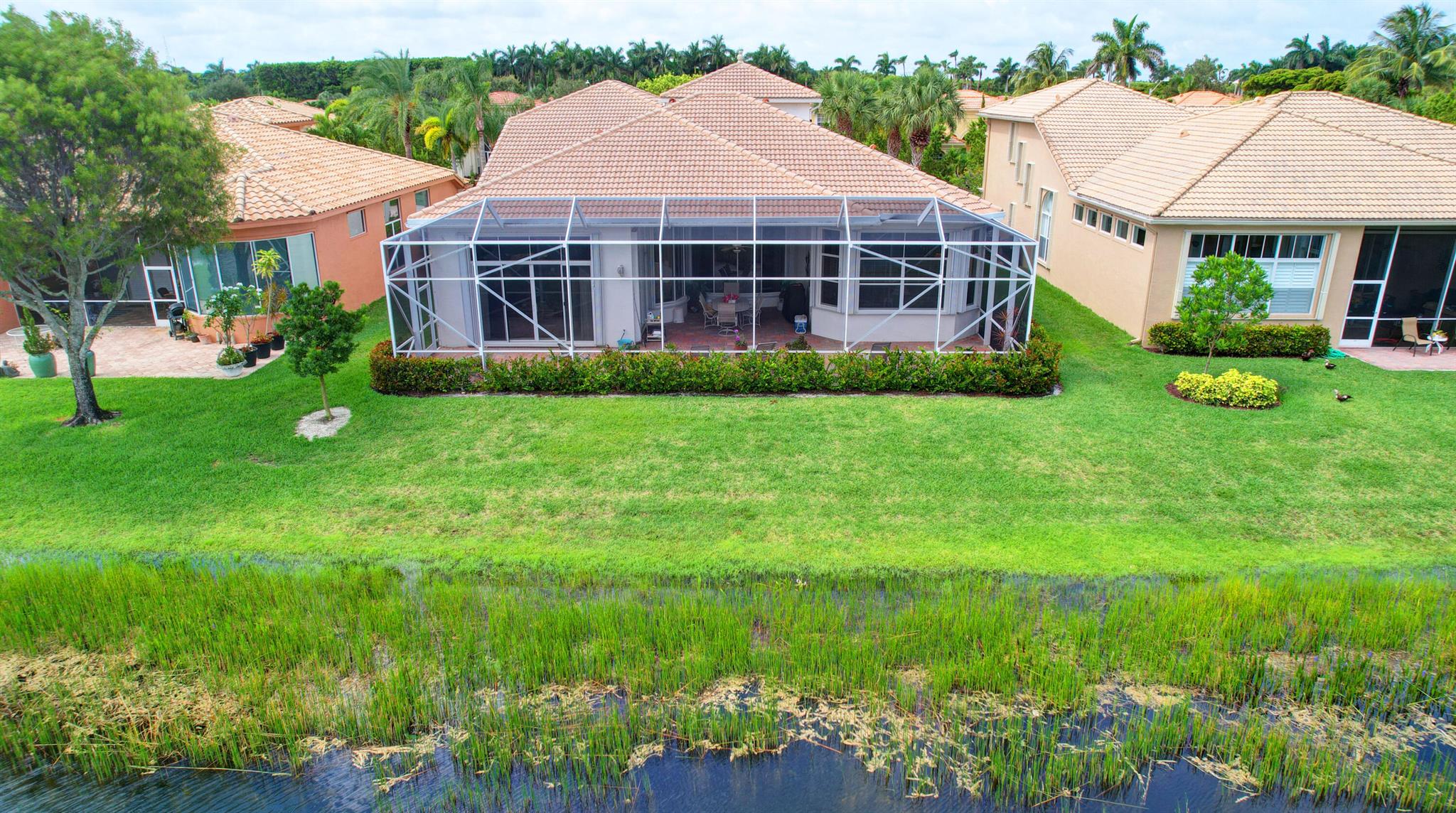 BUENA VIDA - Residential