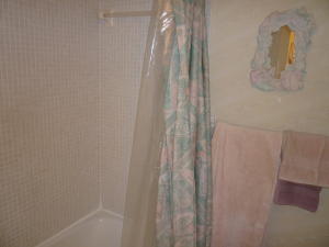 TIERRA DEL MAR CONDO - Residential Lease