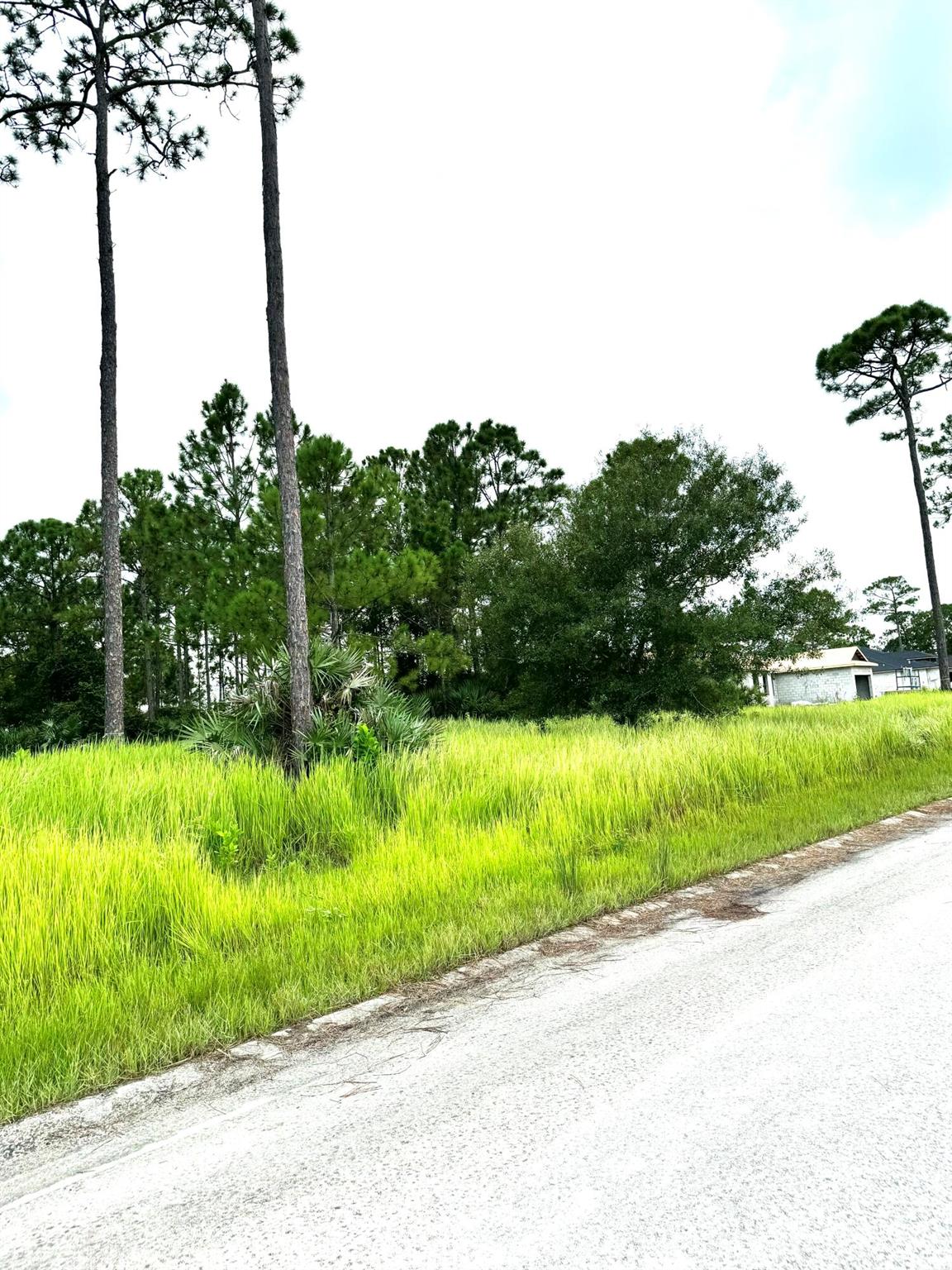 PINE HOLLOW UNITS TREE & - Land