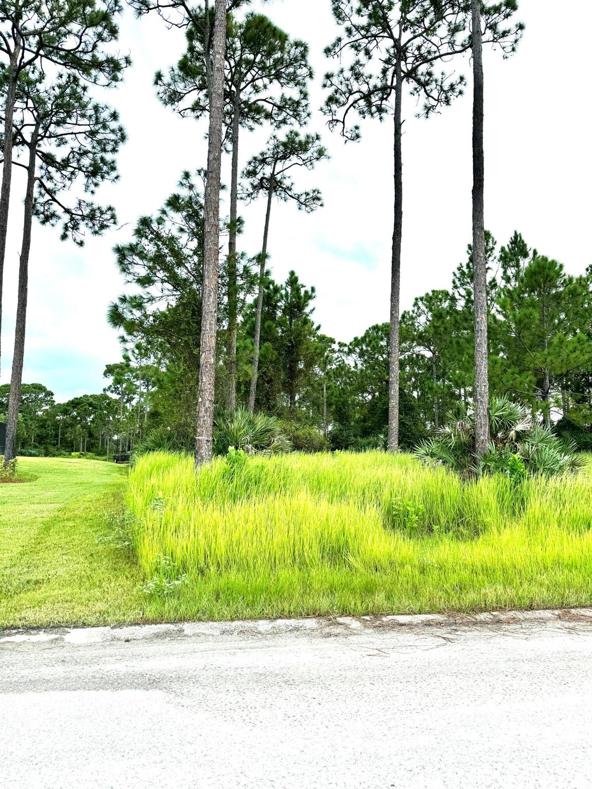 PINE HOLLOW UNITS TREE & - Land