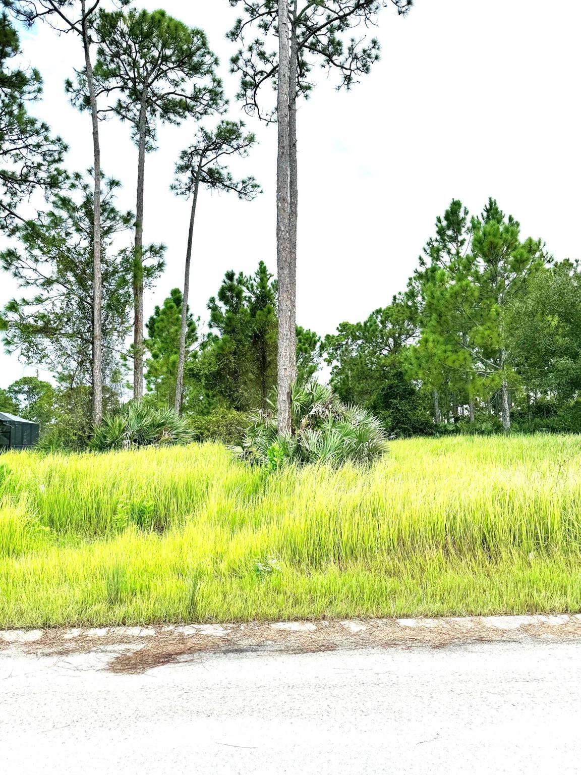 PINE HOLLOW UNITS TREE & - Land