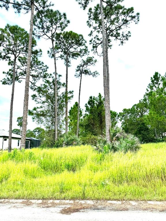 PINE HOLLOW UNITS TREE & FOUR - Land