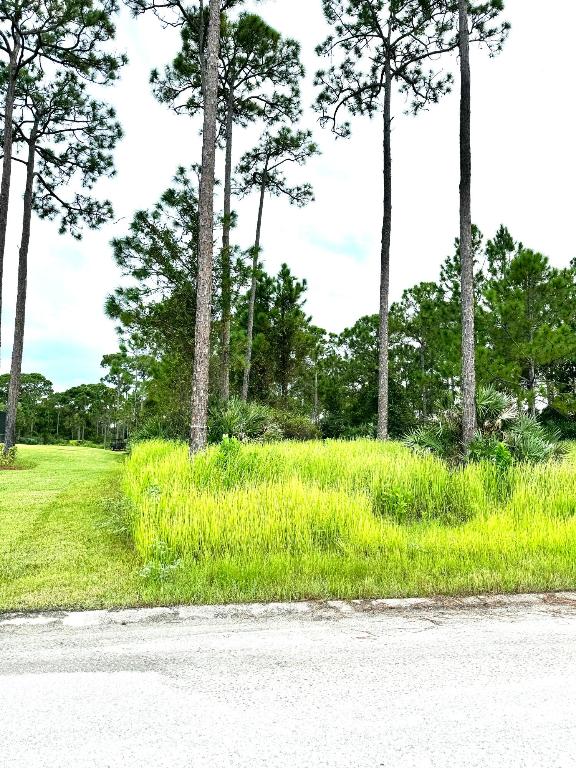 PINE HOLLOW UNITS TREE & FOUR - Land