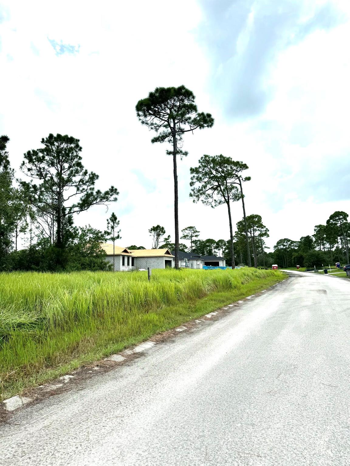 PINE HOLLOW UNITS TREE & - Land