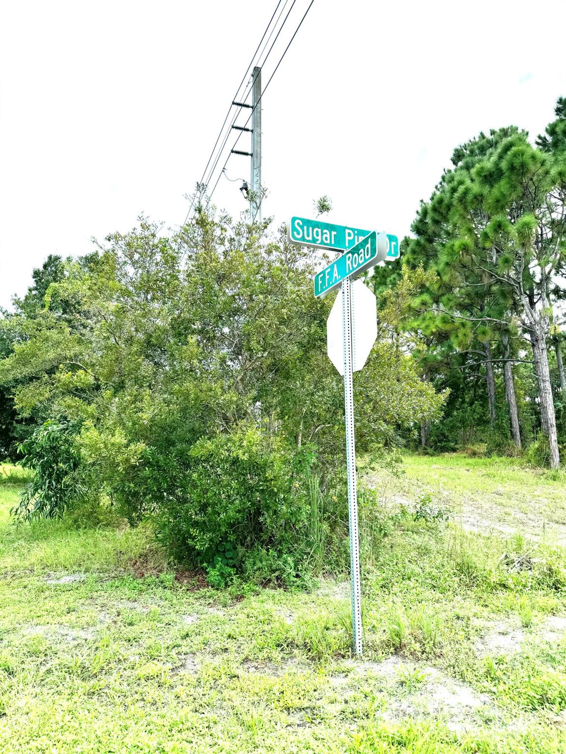 PINE HOLLOW UNITS TREE & - Land