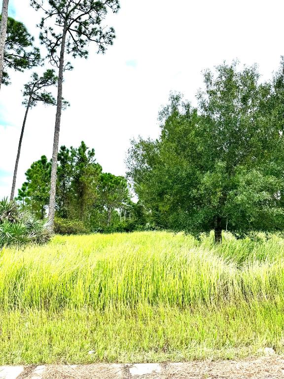 PINE HOLLOW UNITS TREE & FOUR - Land