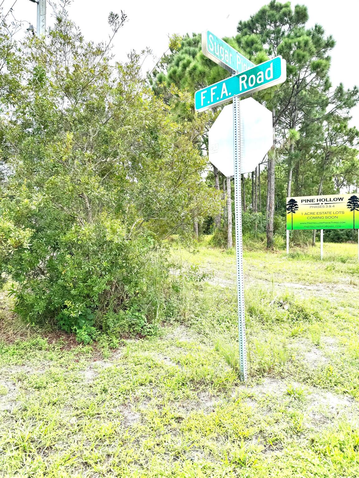 PINE HOLLOW UNITS TREE & - Land