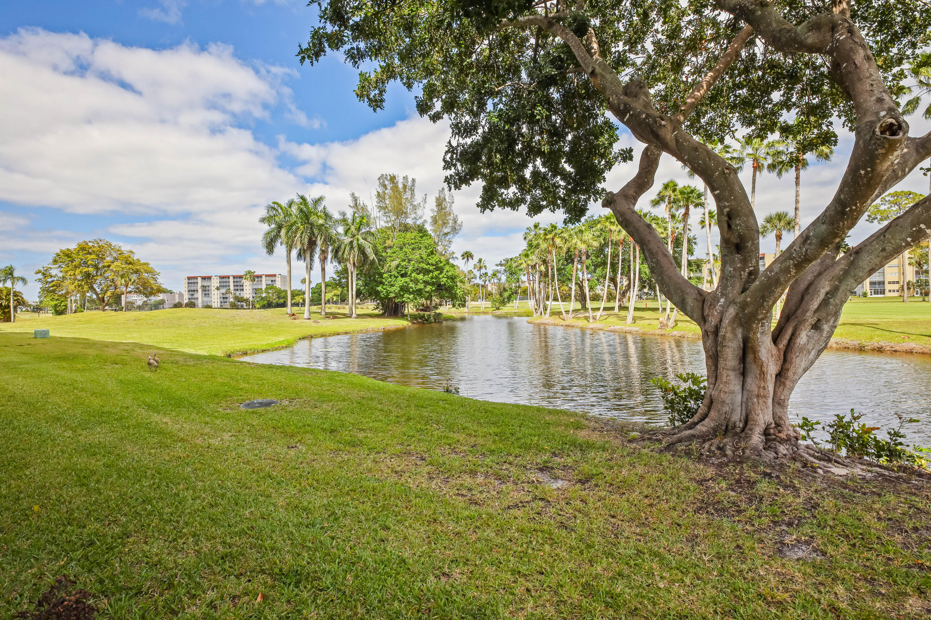 POINCIANA PLACE CONDO A,B AND C - Residential