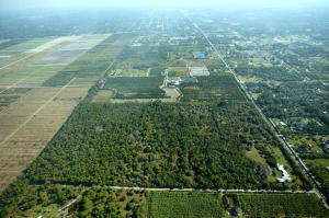 Acreage & Unrec - Residential