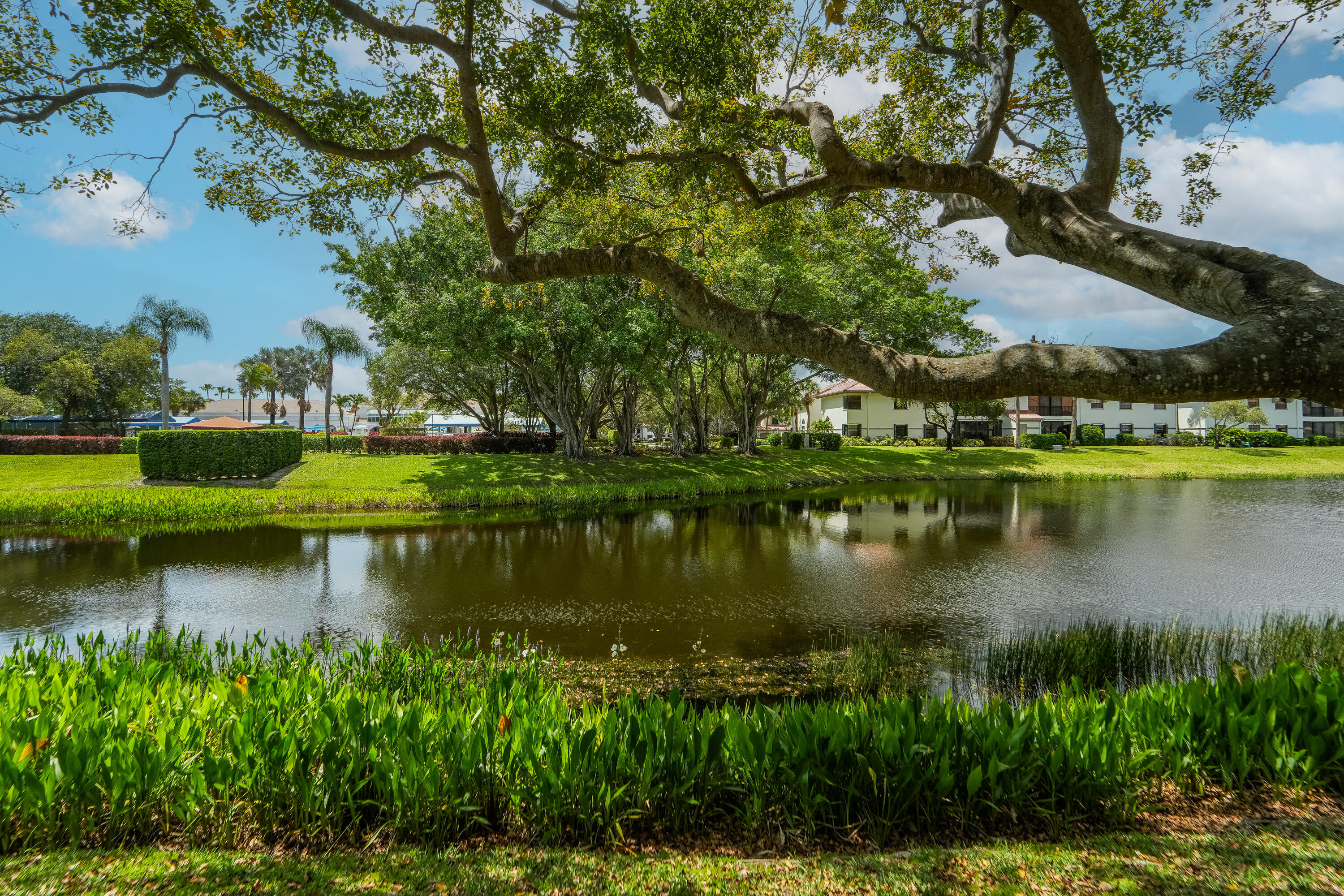Platina CARRARA VILLAGE CONDO - Residential