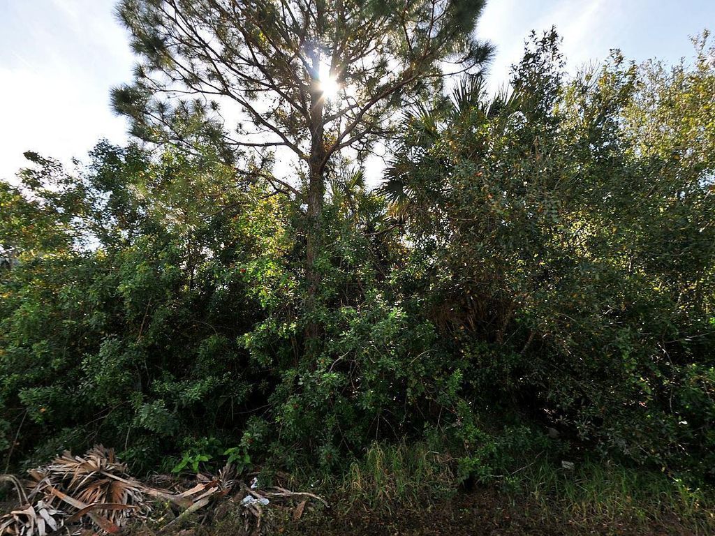 Photo of 1038 SW Firestone Avenue, Port St Lucie, FL 34953 (MLS # R10912628)