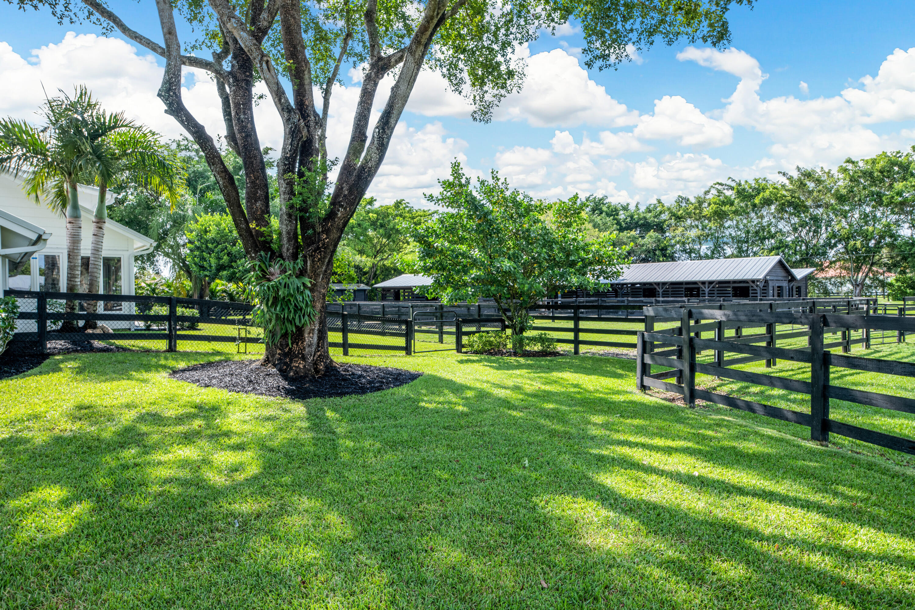 SADDLE TRAIL PARK OF WELLINGTON - Residential