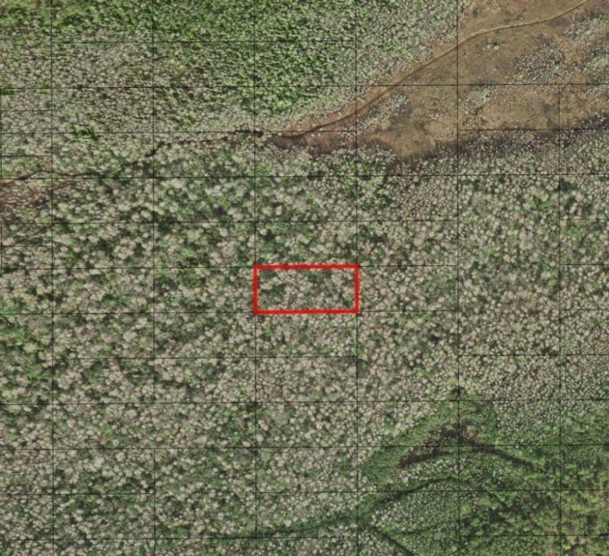 Holopaw Recreational property, camp, hunt and ride.Owner financing