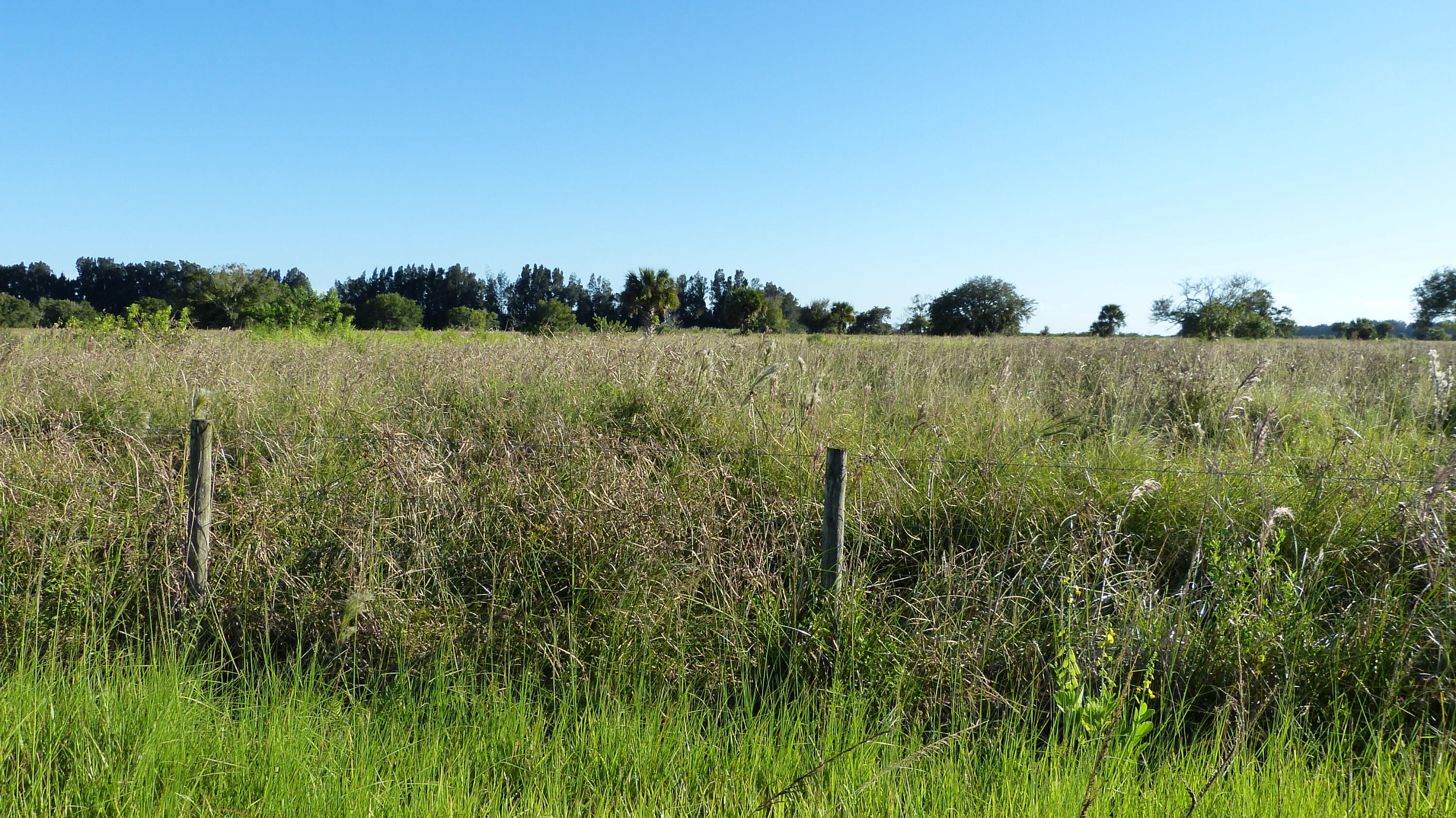 Tbd 3 Pineapple Lane