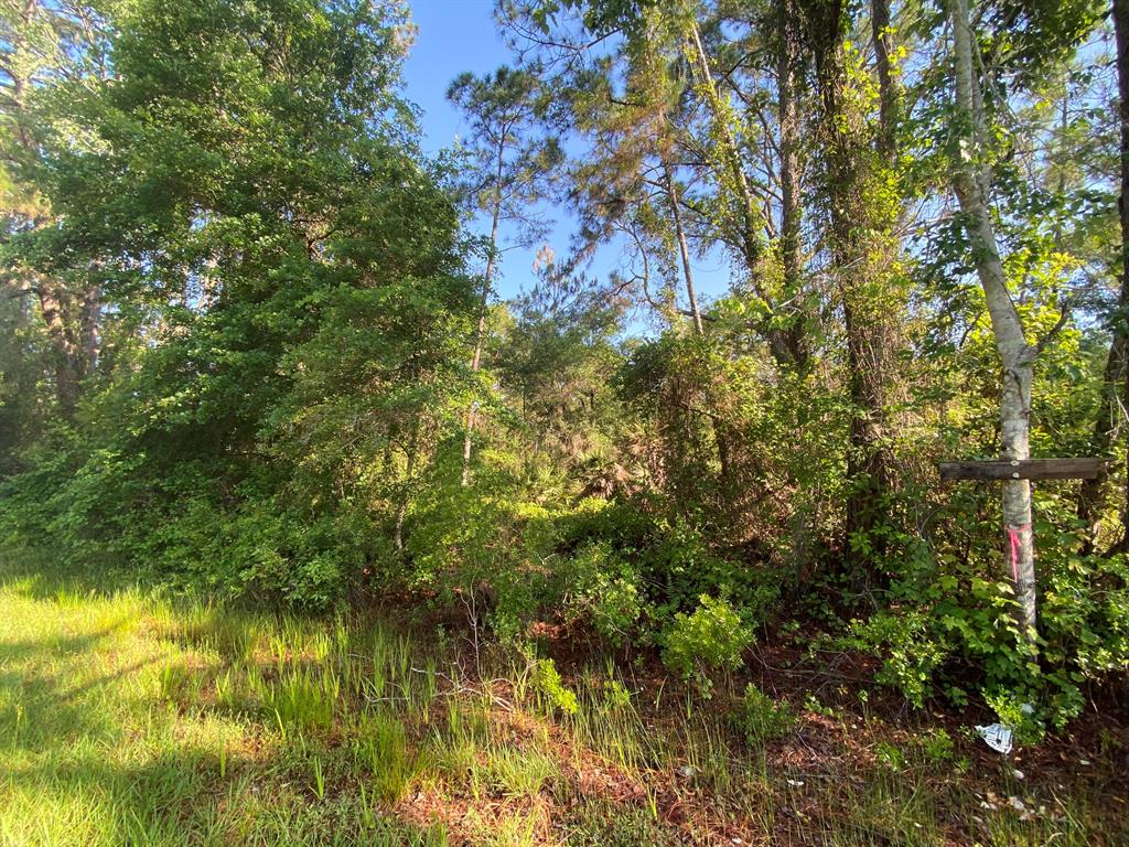 COUNTRY LIVING AT ITS BEST COME CHECK OUT THIS 0.23 ACRE BEAUTIFUL WOODED LOT LOCATED IN GEORGETOWN. LOT . come enjoy St. J River Rod & Reel Club, Boat Ramp, Fishing Pier in Lake George. GO BOATING & FISHING ON RIVER & LAKE. GO SWIMMING IN BEAUTIFUL SALT SPRINGS SILVER GLEN SPRING!! OWNER FINANCING AVAILABLE