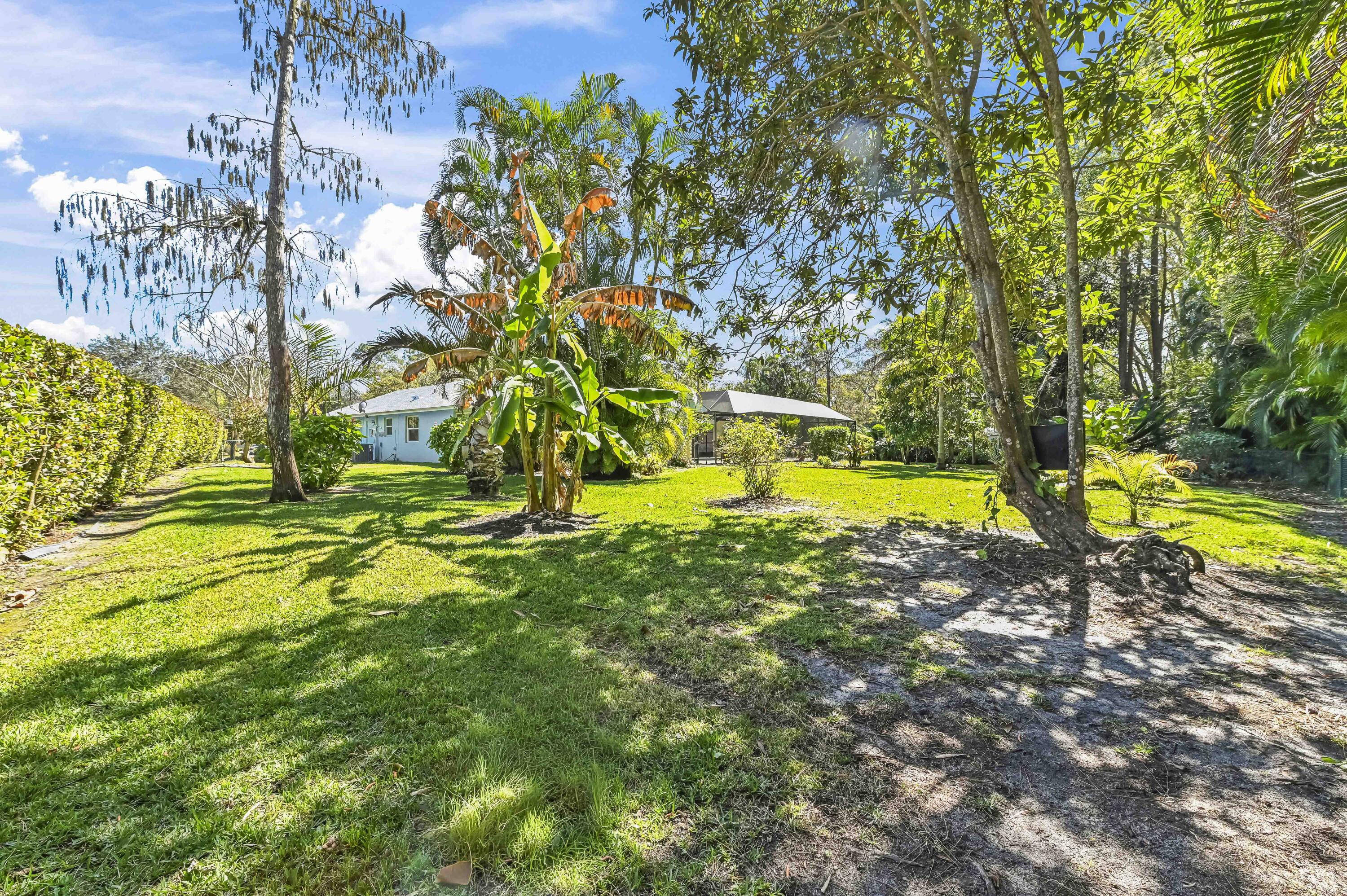 PINES OF WELLINGTON - Residential