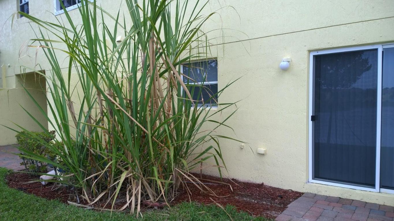 WATERWAYS TAHERI PUD - Residential Lease