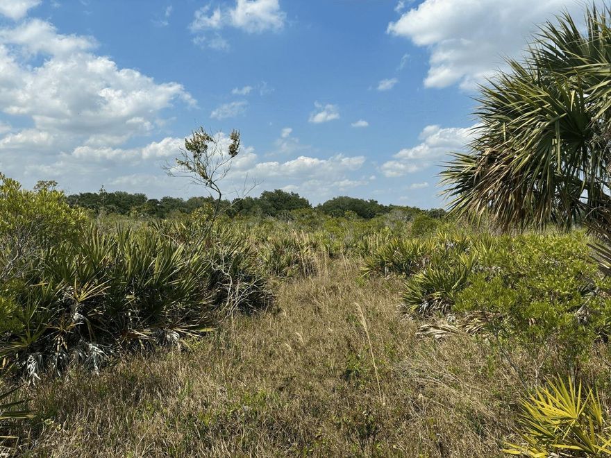High, dry and ready to buy! Check out this un-touched piece of the woods in Okeechobee. 
Owner finance available