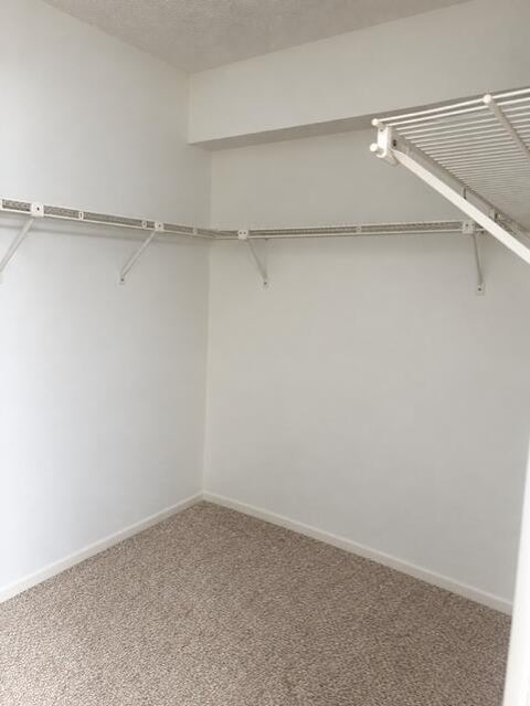 Tiny photo for 456 N LAUREL Drive #1507, Margate, FL 33063 (MLS # B26087531)