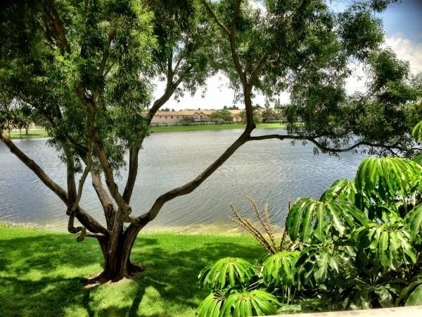 Lakeshore At University P - Residential Lease