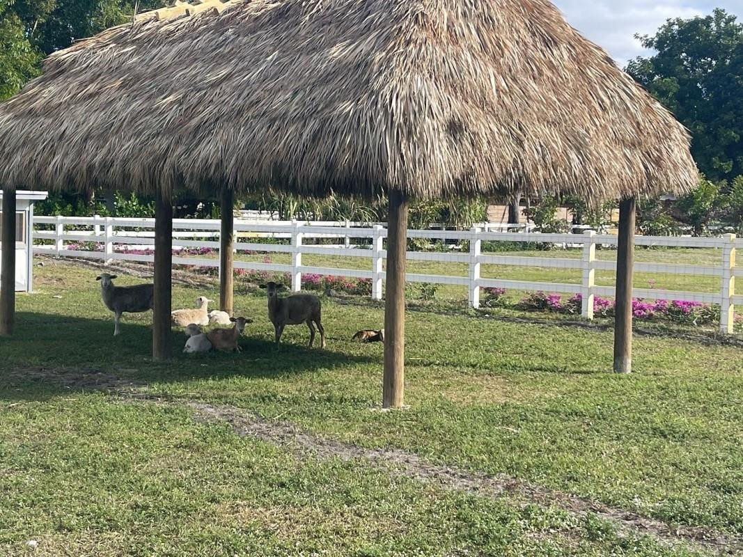 SUNSHINE RANCHES - Land