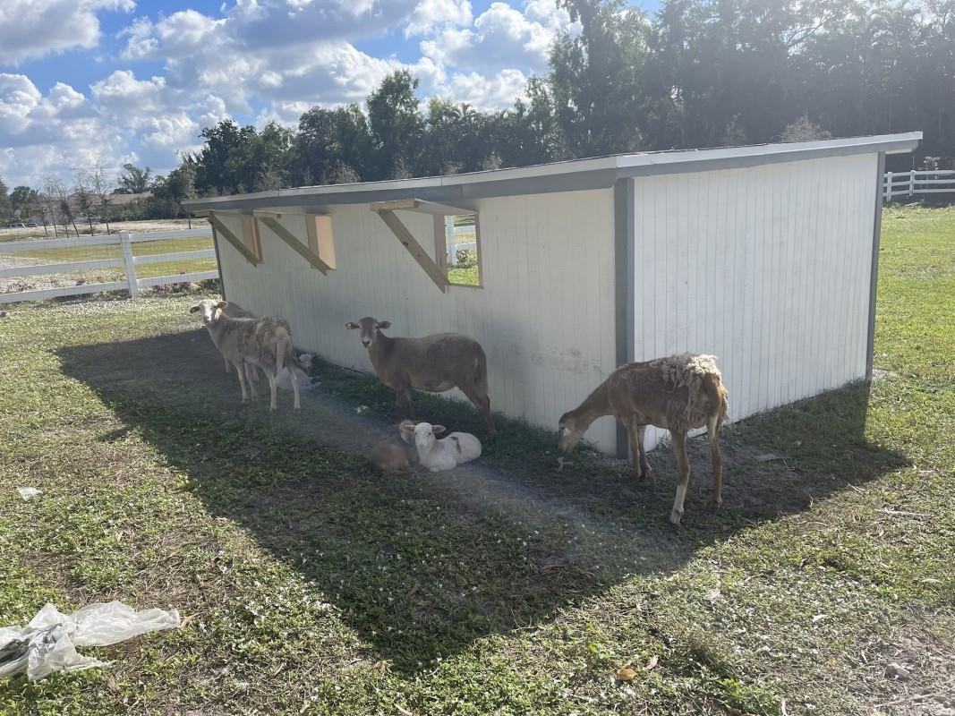 SUNSHINE RANCHES - Land