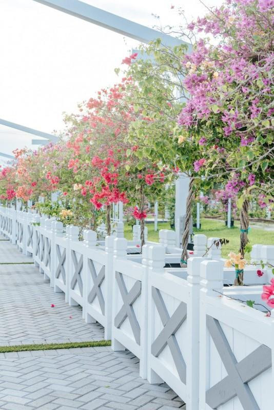 SUNSHINE RANCHES - Land