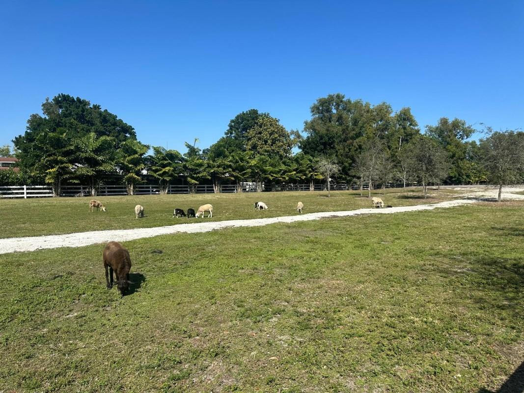 SUNSHINE RANCHES - Land