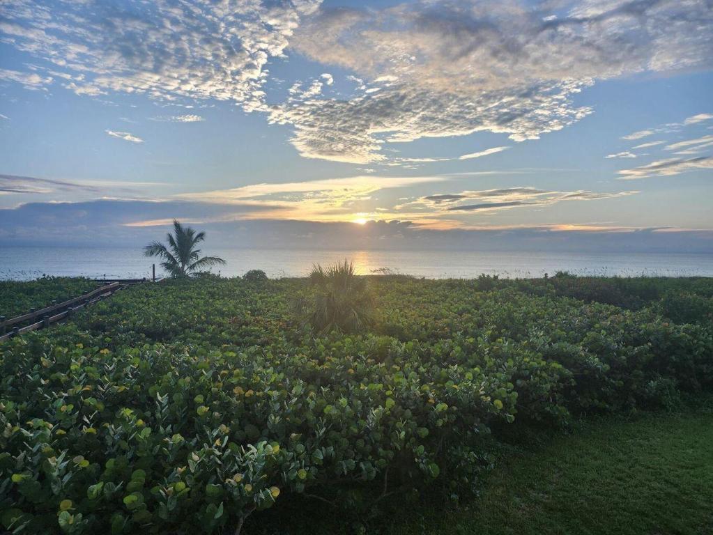 Hibiscus by the sea - Residential Lease