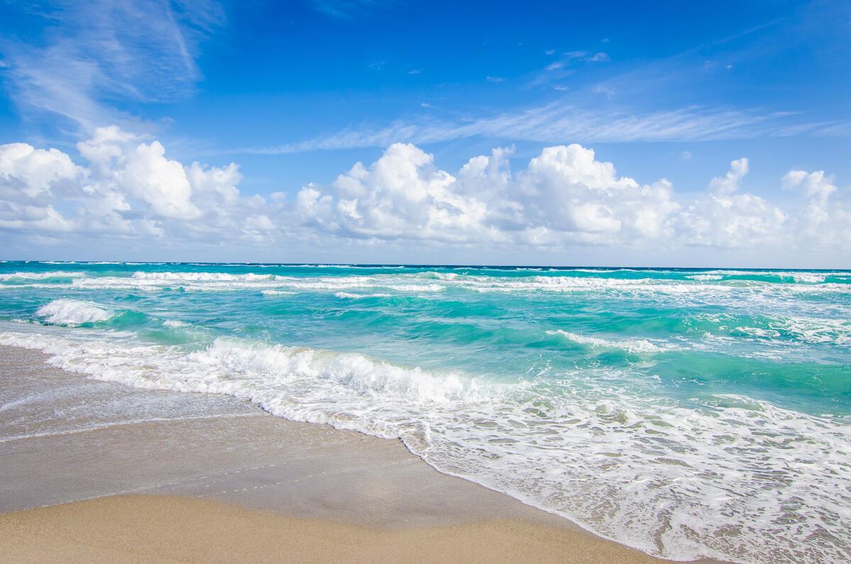 OCEAN TOWERS SOUTH CONDO - Residential