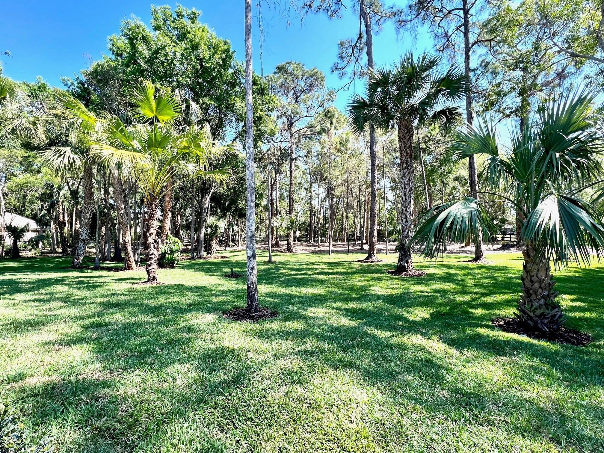 PADDOCK PARK 2 OF WELLING - Residential