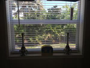 PALM LAKE CO-OP INC PH II - Residential