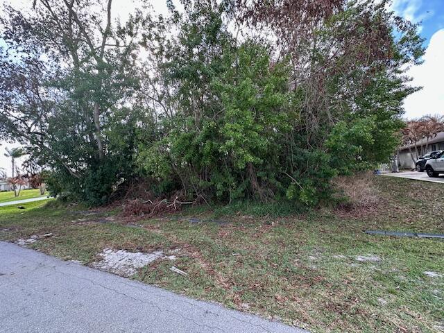 PORT ST LUCIE SECTION 43 - Land