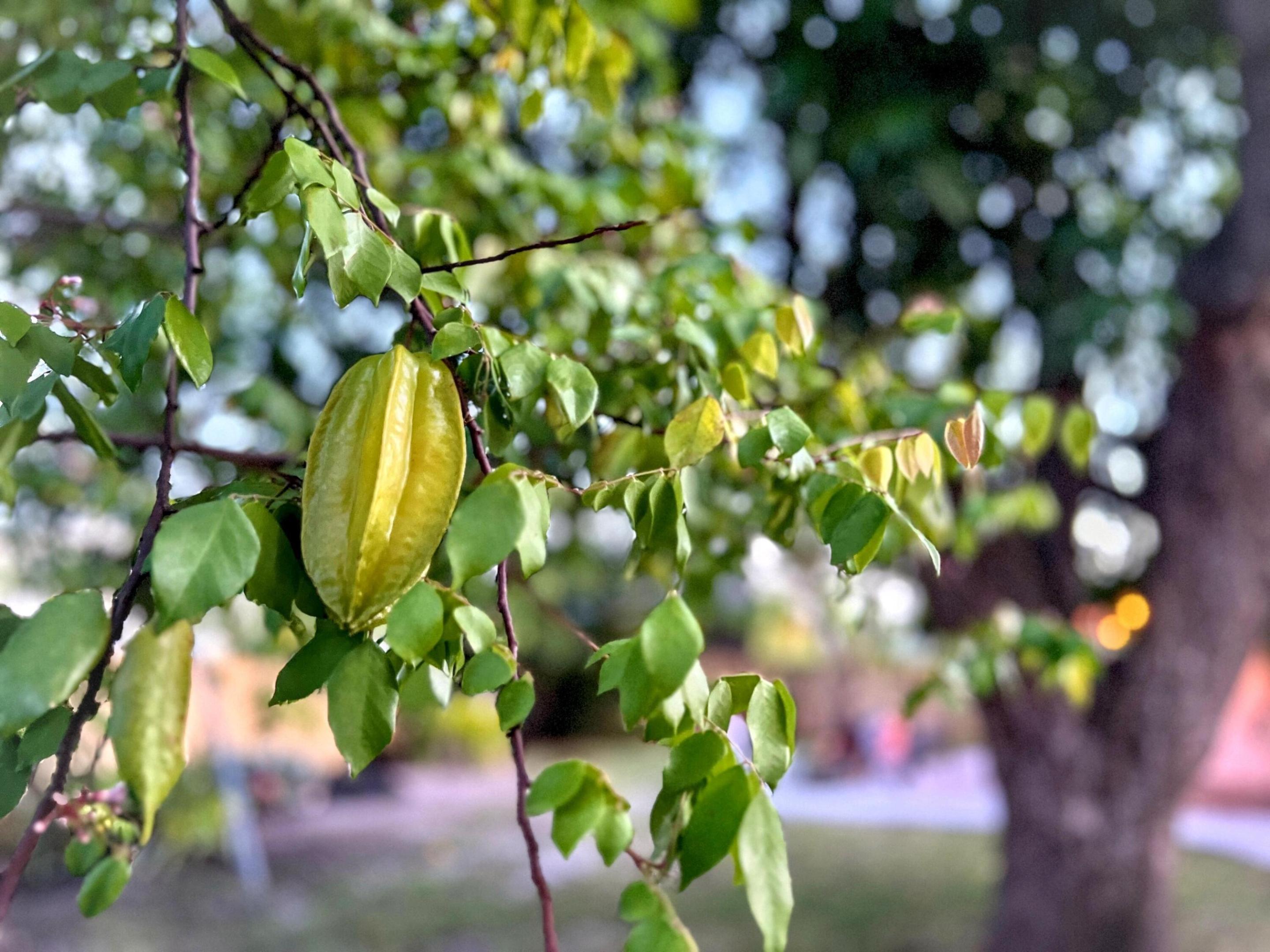 Town of Lake Worth - Residential