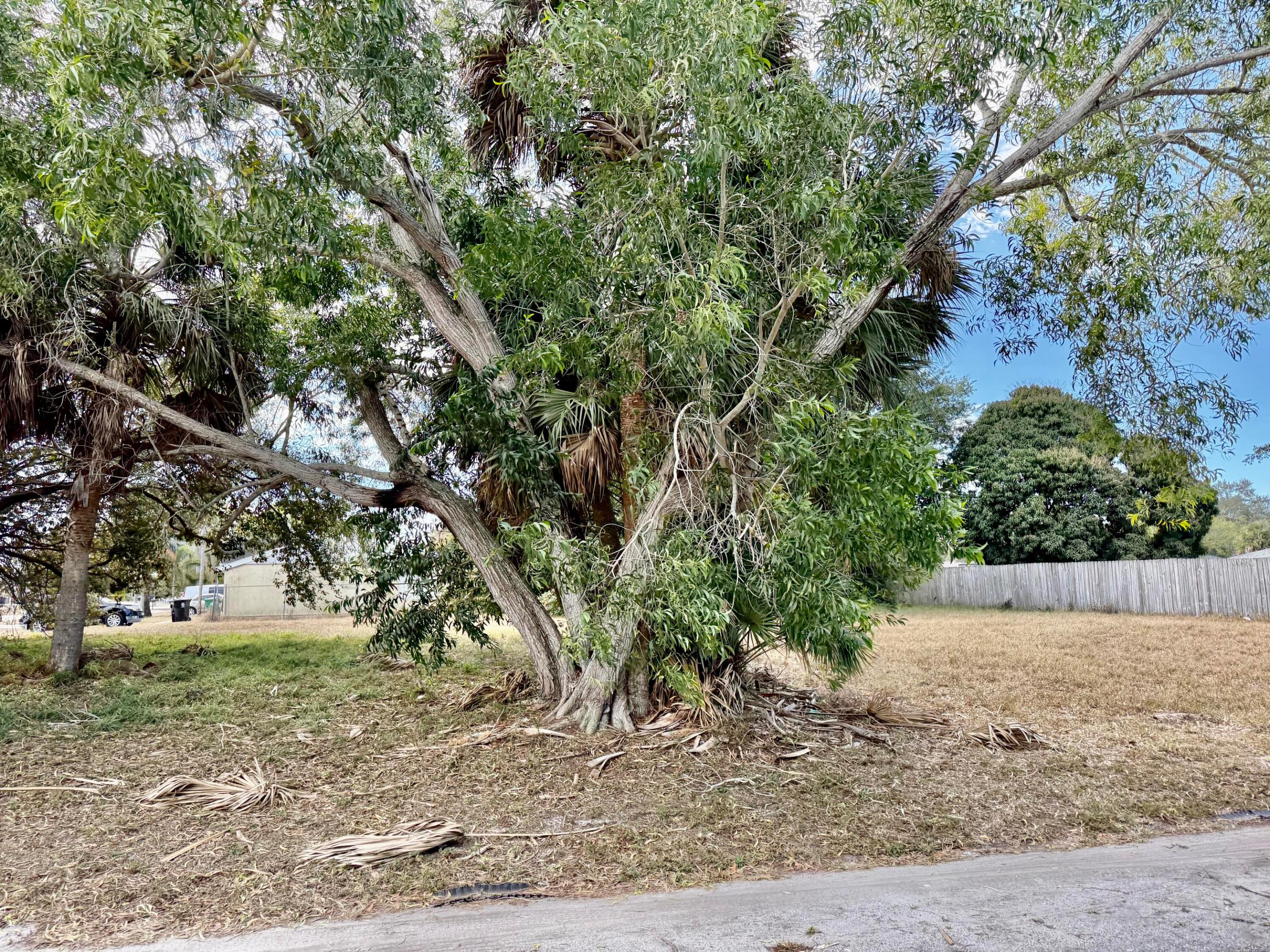 401 SW Tulip Boulevard