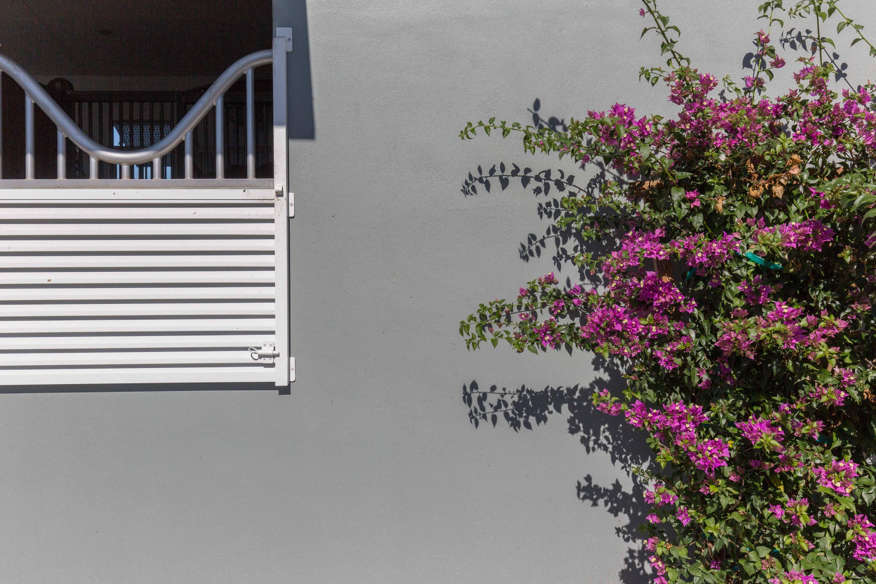 SADDLE TRAIL PARK OF WELLINGTON - Residential