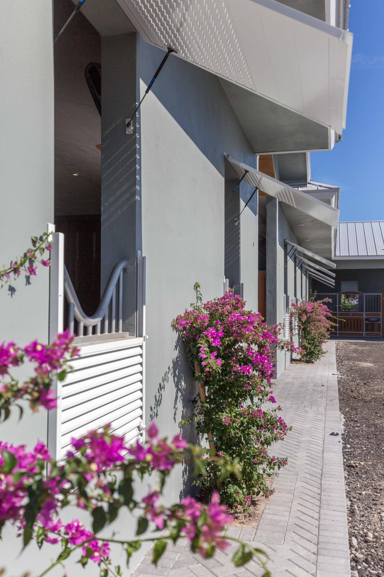 SADDLE TRAIL PARK OF WELLINGTON - Residential