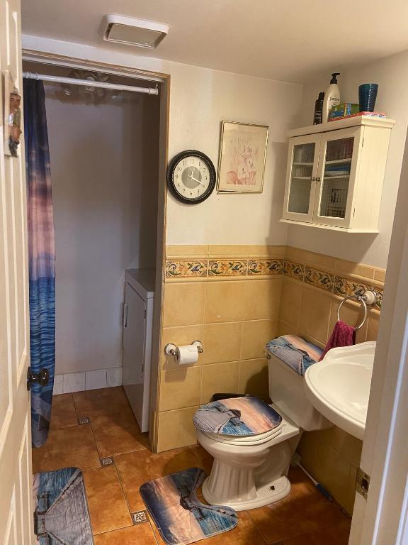 SPRINGDALE HOMES - Residential